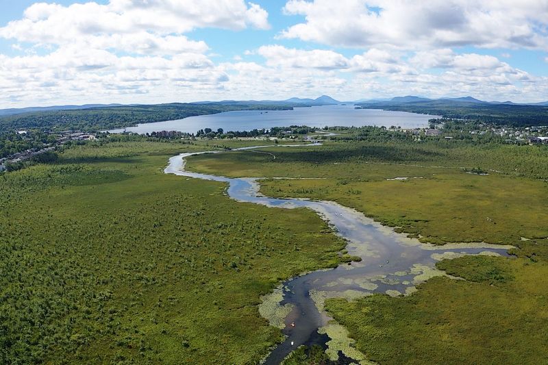 Le territoire protégé du Marais de la Rivière-aux-Cerises s’agrandit